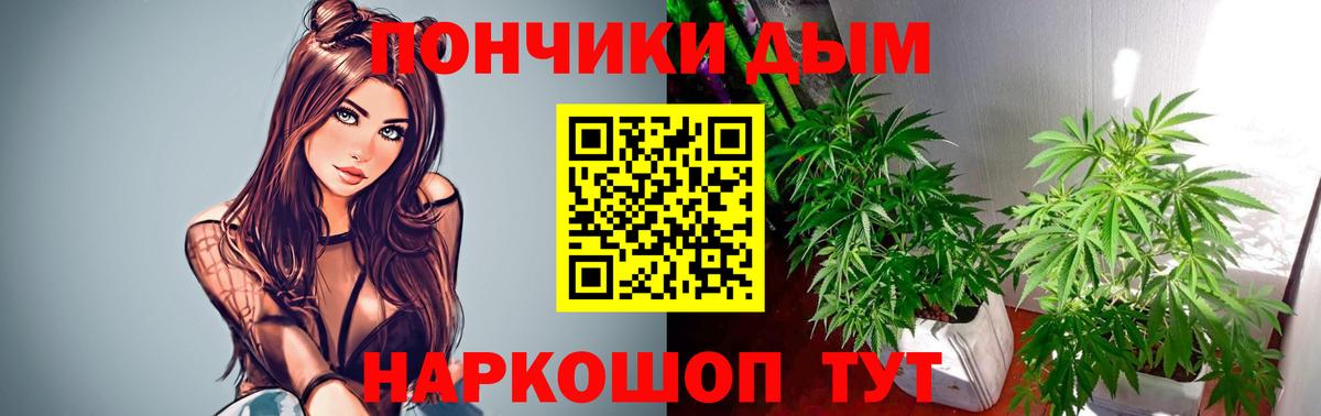 Бошки марихуана индика Новодвинск